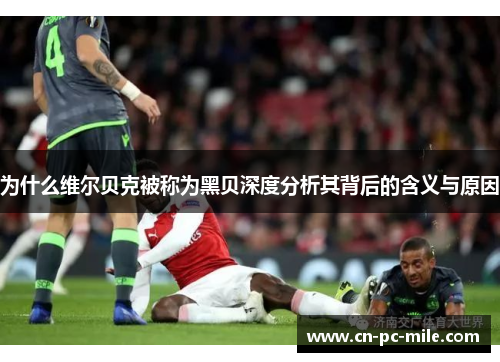 为什么维尔贝克被称为黑贝深度分析其背后的含义与原因 为什么维尔贝克被称为黑贝深度分析其背后的含义与原因