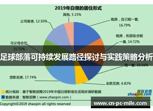 足球部落可持续发展路径探讨与实践策略分析 足球部落可持续发展路径探讨与实践策略分析