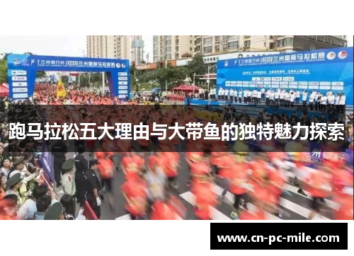 跑马拉松五大理由与大带鱼的独特魅力探索