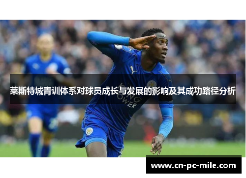 莱斯特城青训体系对球员成长与发展的影响及其成功路径分析